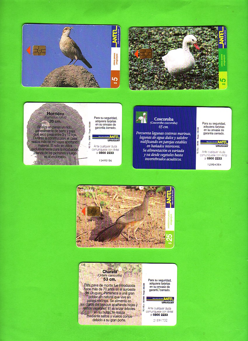 1230