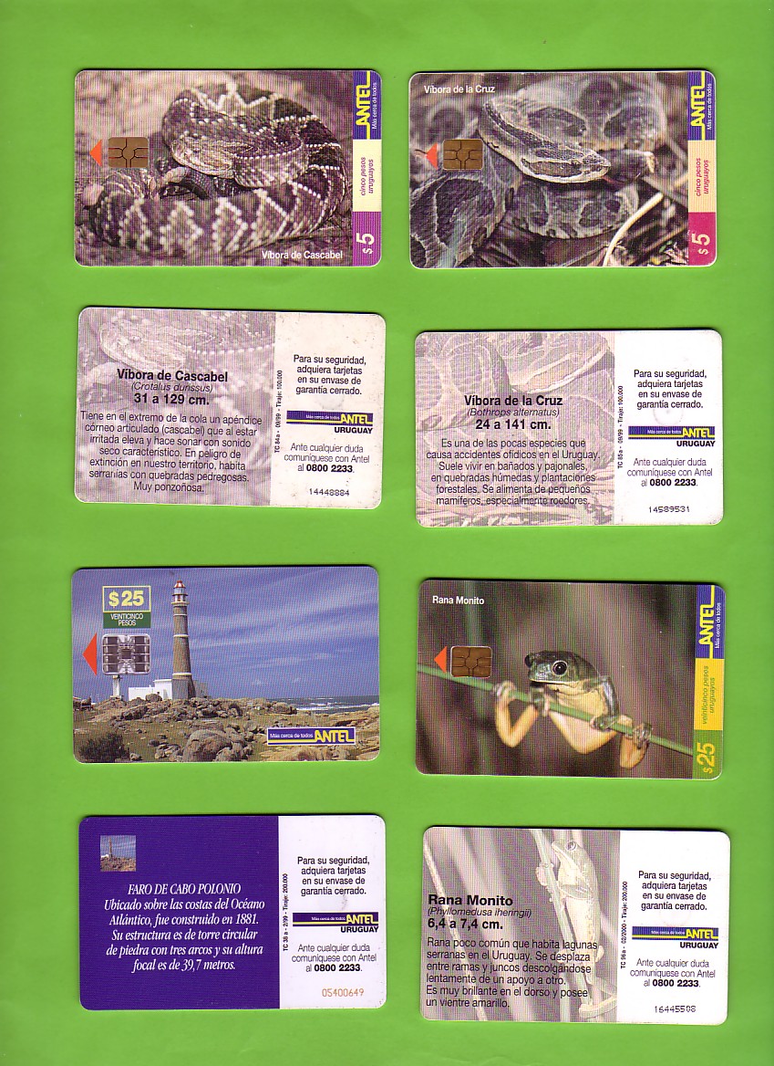 82